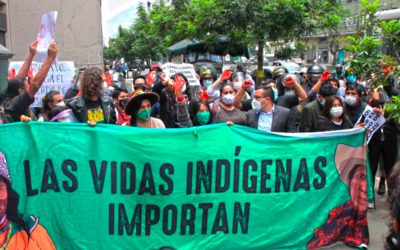 Ley que amenaza a la Amazonía se aprobó sin admitir reconsideraciones