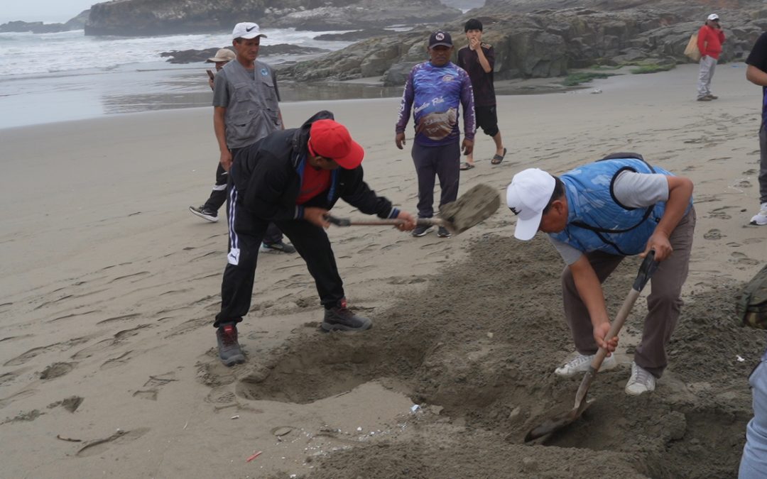 Cuatro años después del derrame de Repsol, playas siguen mostrando restos de petróleo