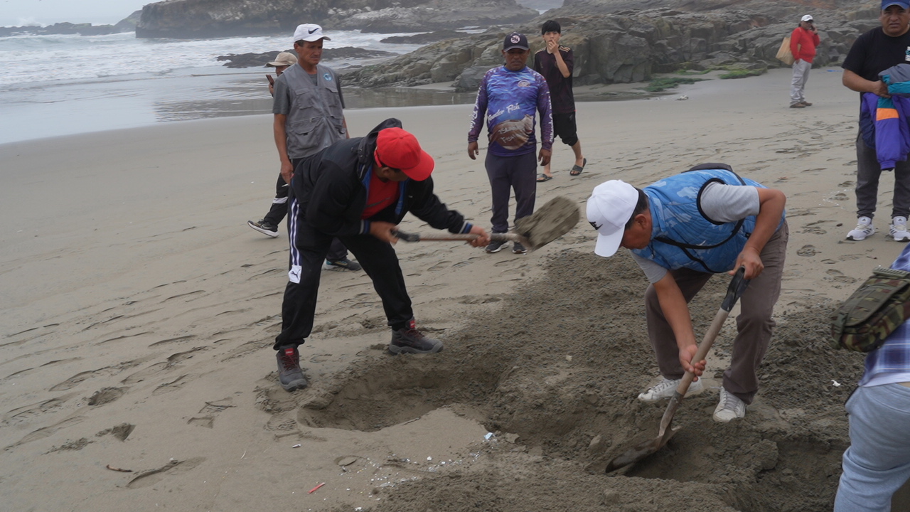 Cuatro años después del derrame de Repsol, playas siguen mostrando restos de petróleo
