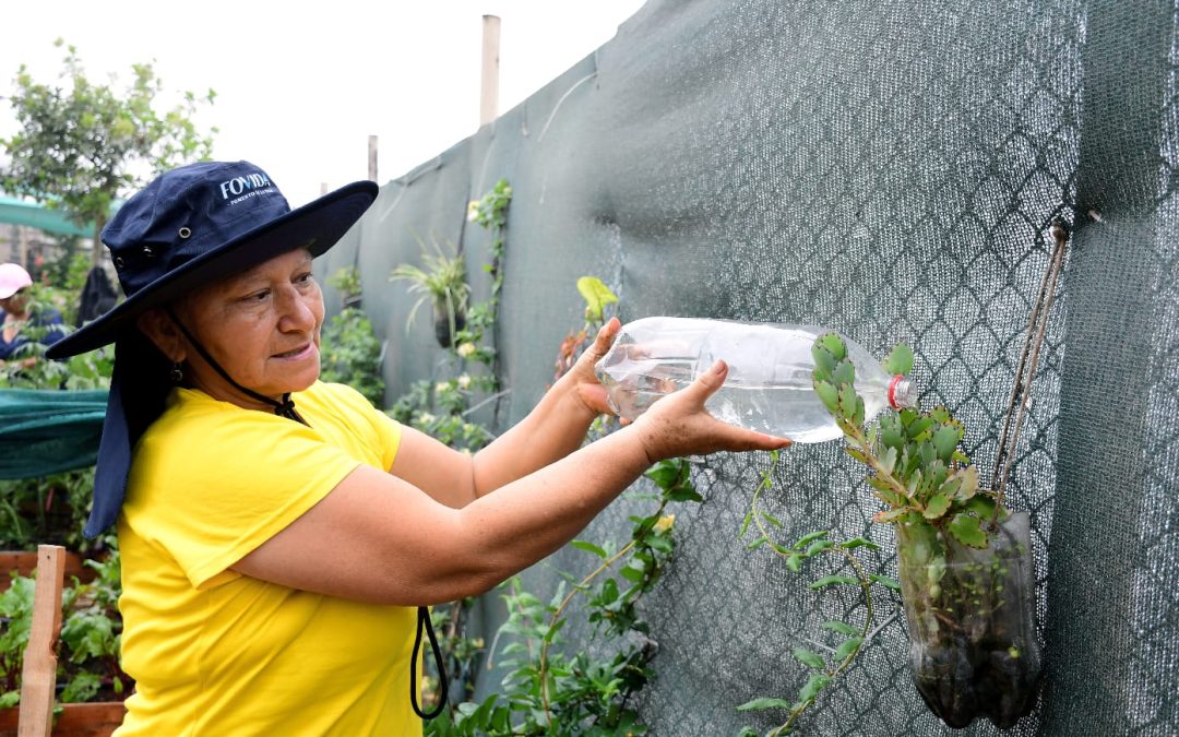 Lideresas impulsan biohuertos comunitarios para enfrentar la crisis alimentaria